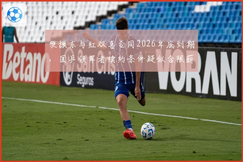 樊振东与红双喜合同2026年底到期,国乒领军者续约条件疑似含限薪条款__br_