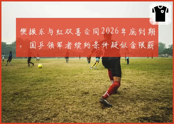 樊振东与红双喜合同2026年底到期,国乒领军者续约条件疑似含限薪条款__br_