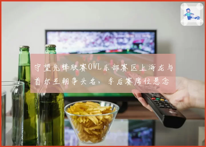 守望先锋联赛OWL东部赛区上海龙与首尔王朝争头名,季后赛席位悬念