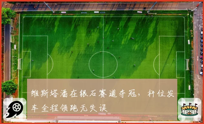 维斯塔潘在银石赛道夺冠，杆位发车全程领跑无失误