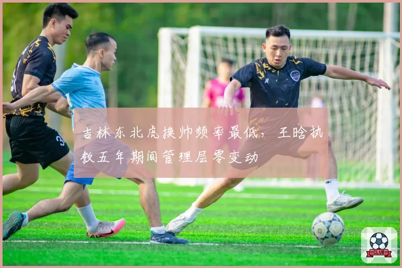 吉林东北虎换帅频率最低,王晗执教五年期间管理层零变动