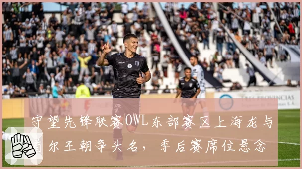 守望先锋联赛OWL东部赛区上海龙与首尔王朝争头名,季后赛席位悬念