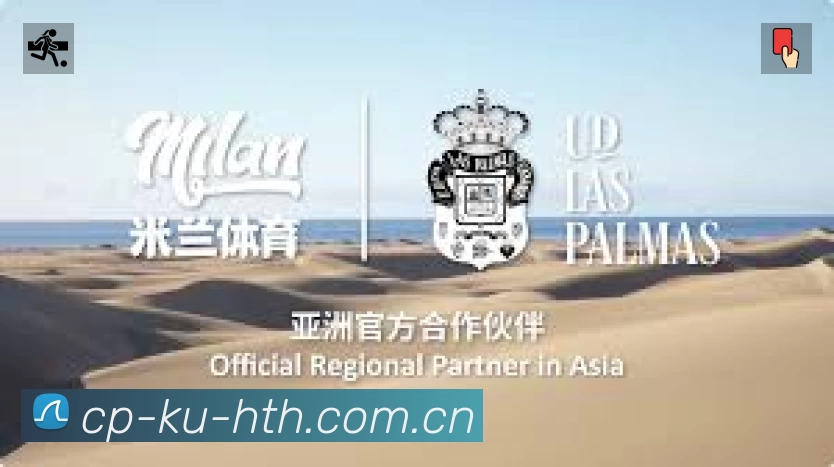 看点解析